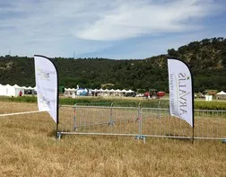 Advertising pennant flags for Arvalis, JA event